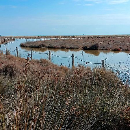 Rincon Del Delta, Apartamento En El Delta Del Ebro, Playa Trabucador Amposta, Tarragona L'Eucaliptus Экстерьер фото