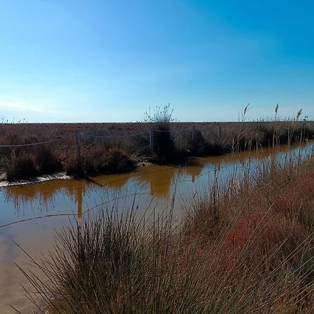 Rincon Del Delta, Apartamento En El Delta Del Ebro, Playa Trabucador Amposta, Tarragona L'Eucaliptus Экстерьер фото