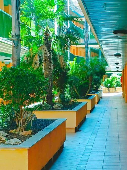 Rincon Del Delta, Apartamento En El Delta Del Ebro, Playa Trabucador Amposta, Tarragona L'Eucaliptus Экстерьер фото
