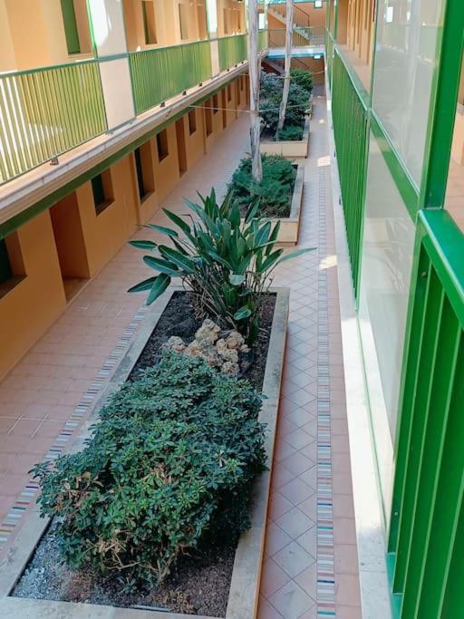 Rincon Del Delta, Apartamento En El Delta Del Ebro, Playa Trabucador Amposta, Tarragona L'Eucaliptus Экстерьер фото