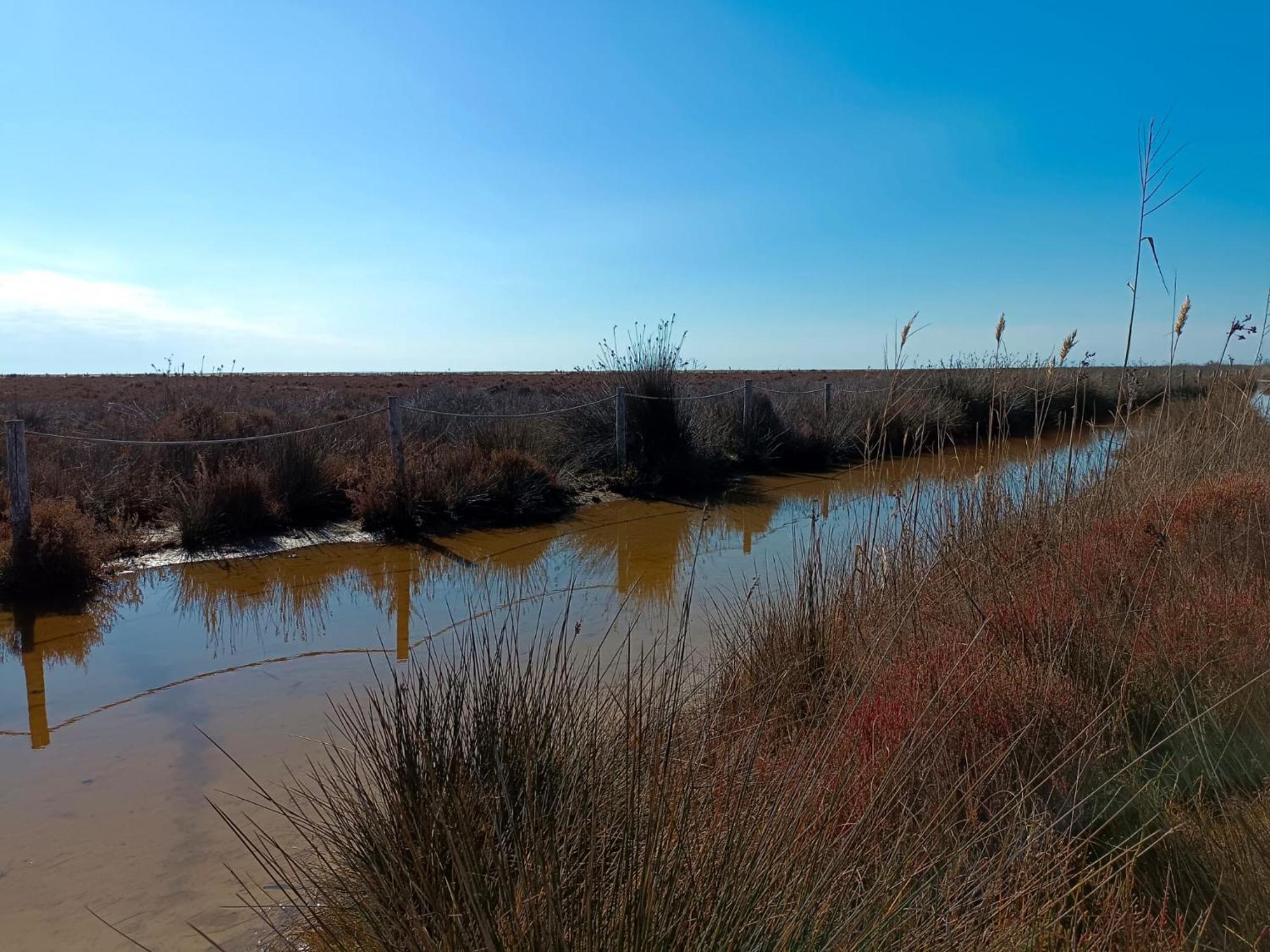 Rincon Del Delta, Apartamento En El Delta Del Ebro, Playa Trabucador Amposta, Tarragona L'Eucaliptus Номер фото